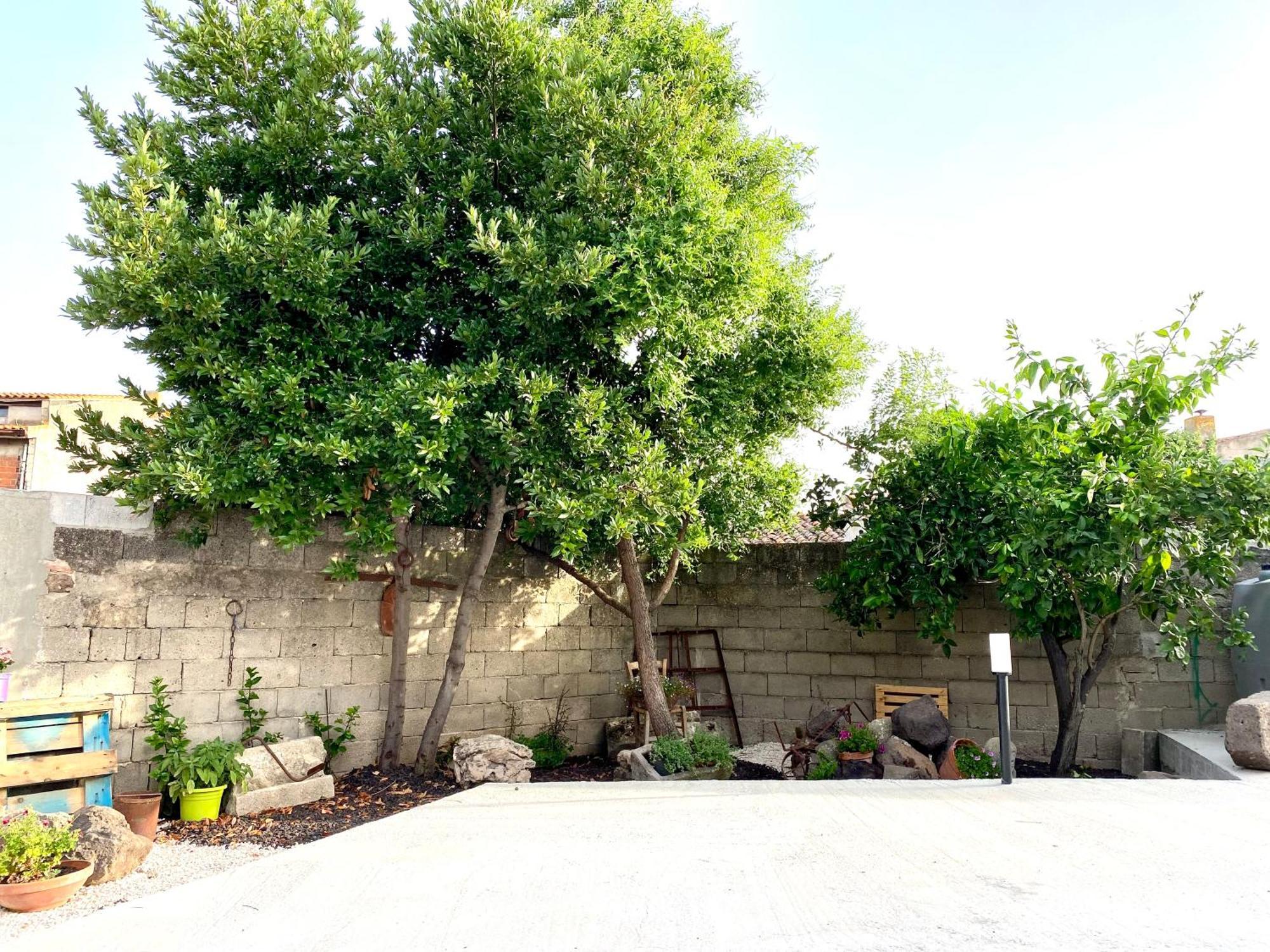 Casa Meli Apartman San Vero Milis Kültér fotó